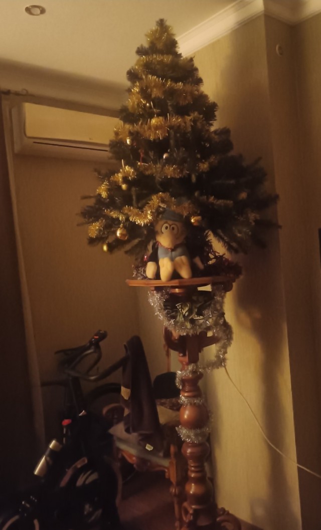 Новогодний кот