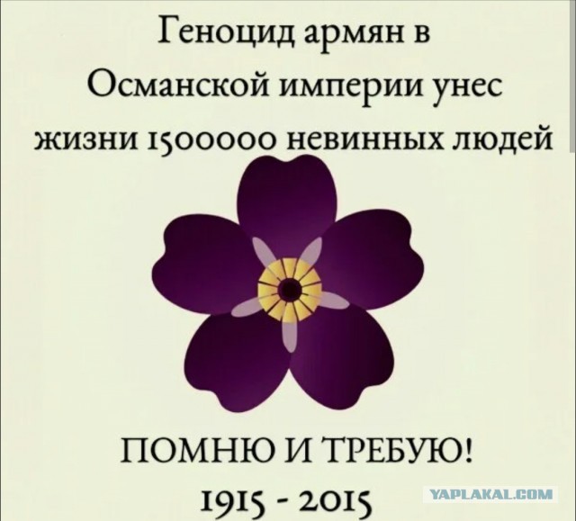 Незабудка - против СВО?.. Ах...еть!