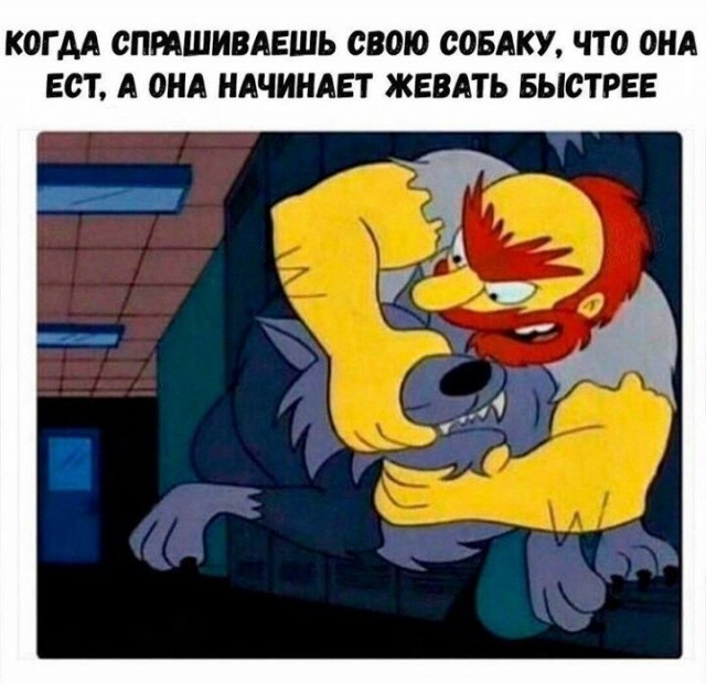 Так себе картинки 22.07.24