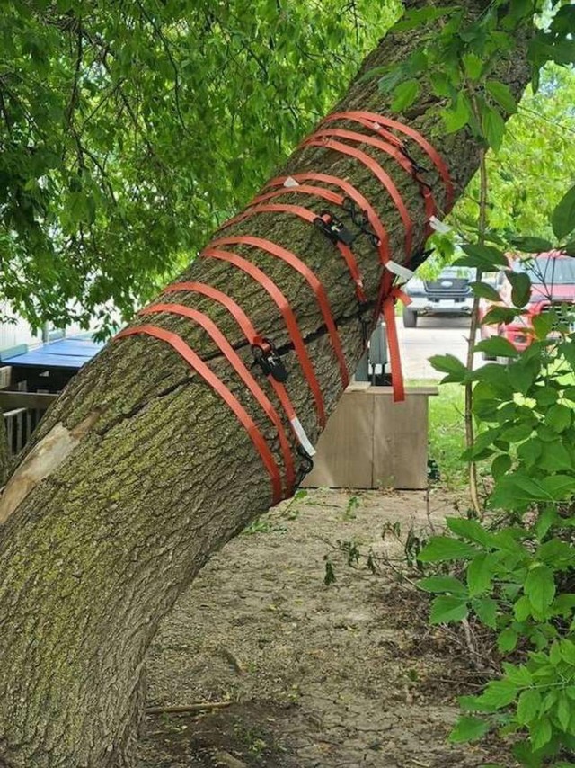 ФотоВинегрет