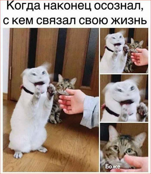 Нуштош 12.09.2024