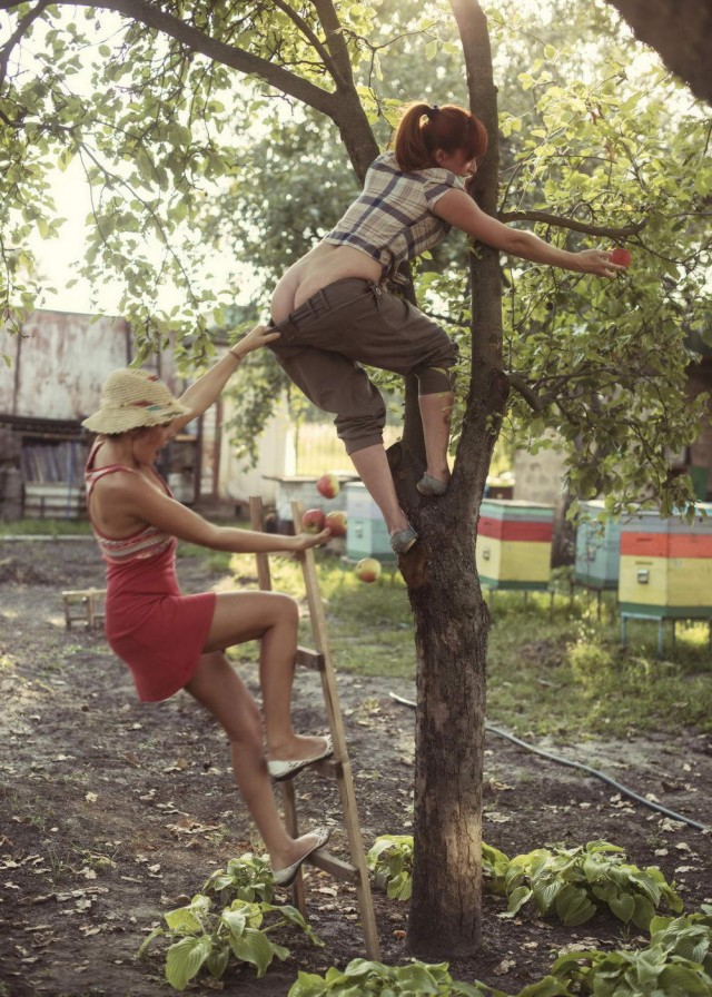 ФотоВинегрет