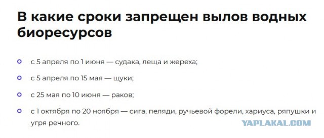 100 тонн форели стоимостью 100 млн рублей сбежало из рыбного хозяйства под Новгородом