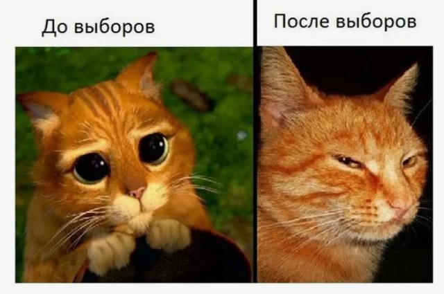 Трамп устроит переговоры РФ и Украины в первую неделю срока