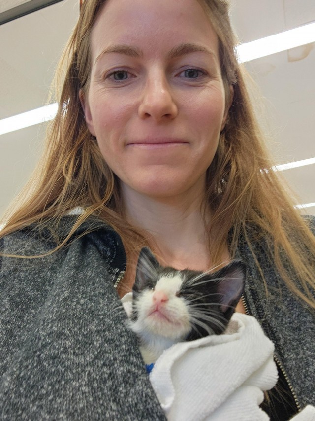 Уличный котенок-сосунок, брошенный мамой