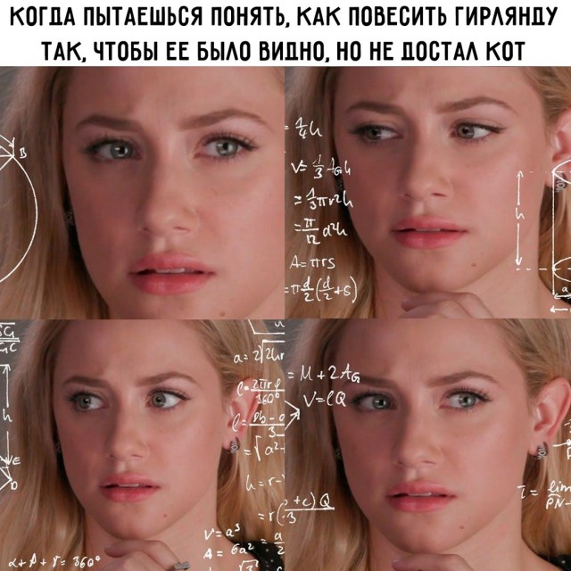 Весёлый полтишок 19.12.24