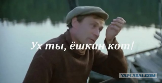 Как говорится — умный голодным не останется!