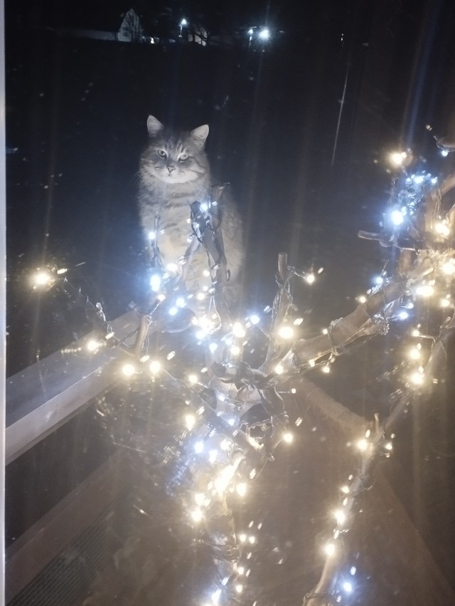 Можно я тоже похвастаюсь