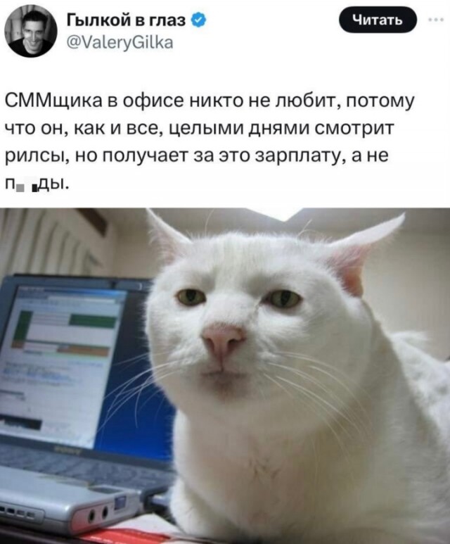 Весёлый полтишок 18.03.2025