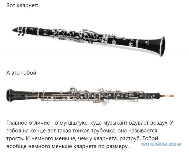 Когда на свадьбу никто не пришёл