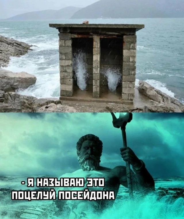 Срал я на ваших рыб!