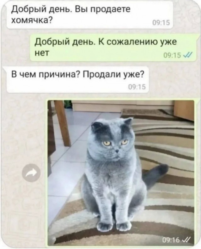 Интернет-мемчики на четверг и увлажнитель воздуха