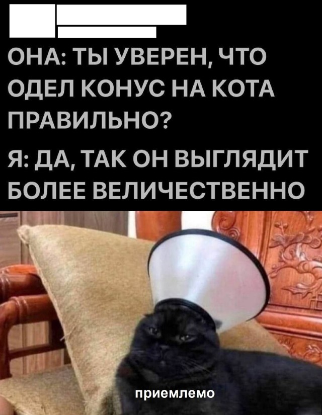 Так себе картинки 28.06.25