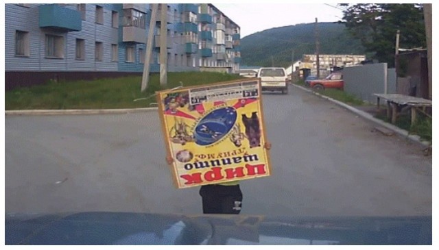 Ехал, никого не трогал...