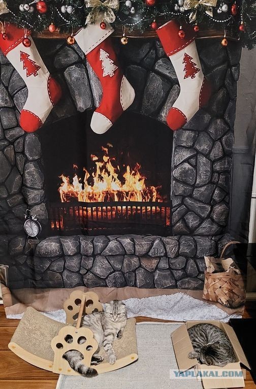 Последний КотоВторник, уходящего 2025 года