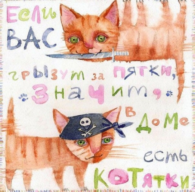 Так себе картинки 31.12.25
