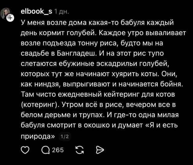Потная гамсахурдия №1 (Картинки)