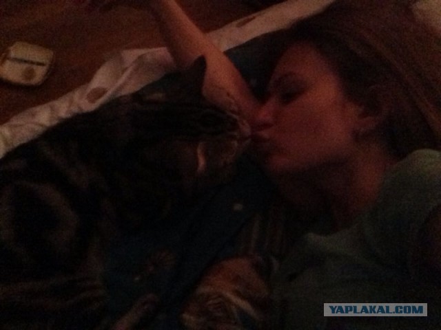 Котовторник  30.07.2013