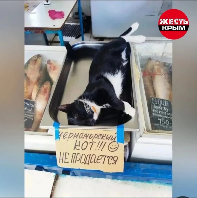 Рыбов продаёте?