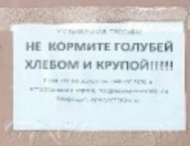 Объявленице