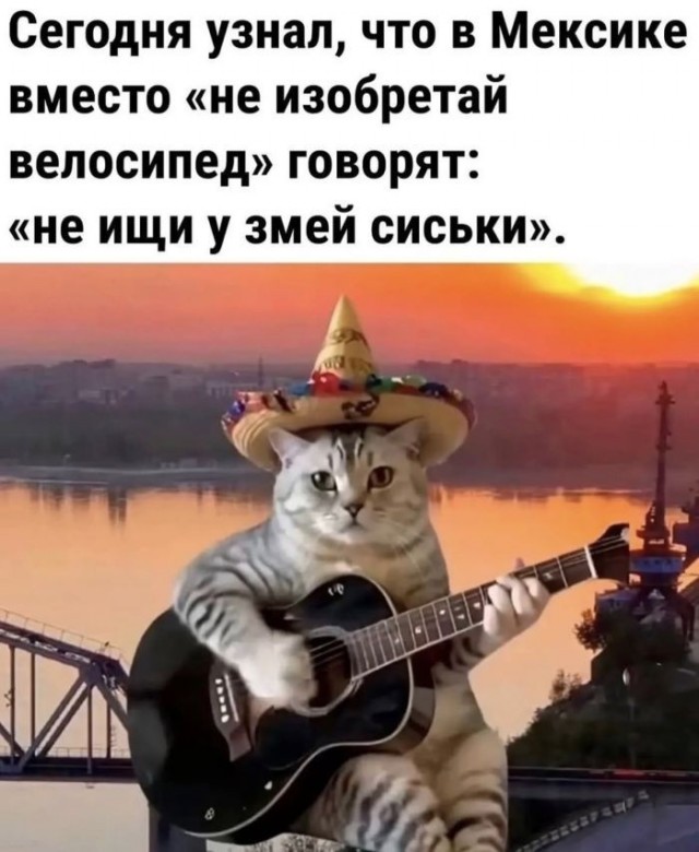 Картинки для деградации 268 (разной степени свежести)