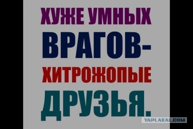 У тебя нет друзей?