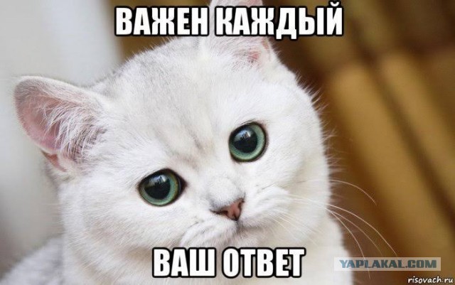 Помогите советом.