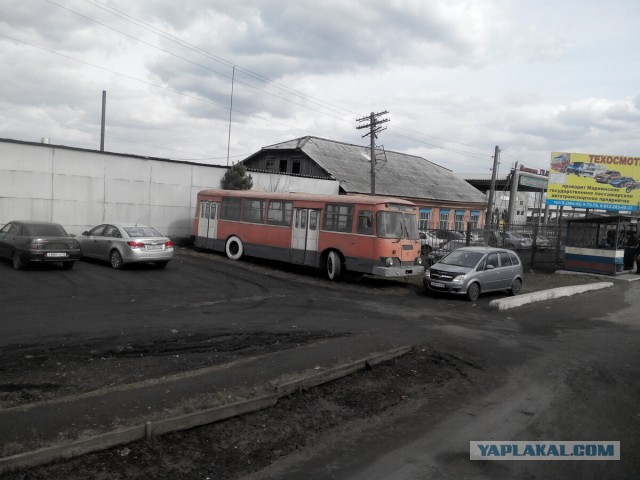 Странствия желтой скамейки)