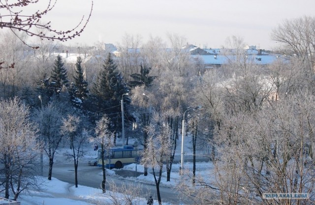 Вид из вашего окна
