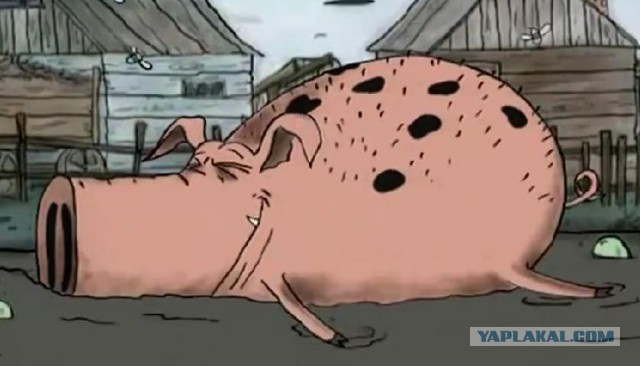 Круглый дом, вид изнутри