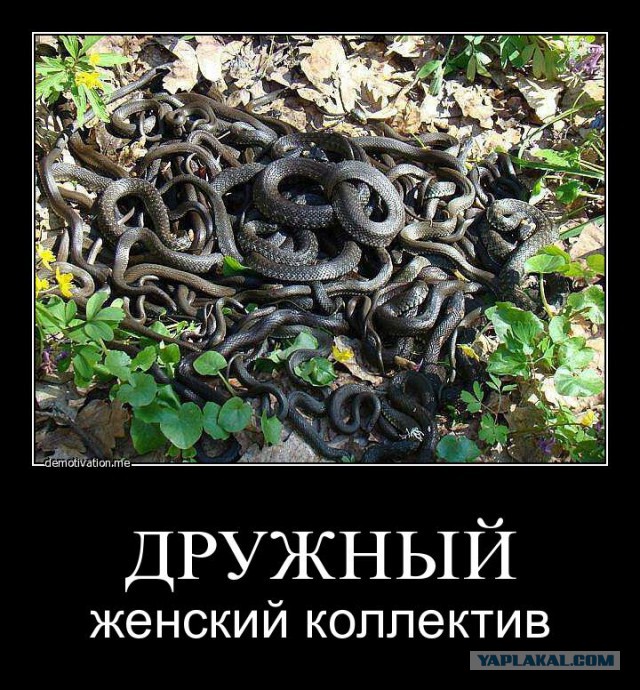 Демотиваторов пост, добавляйте свои