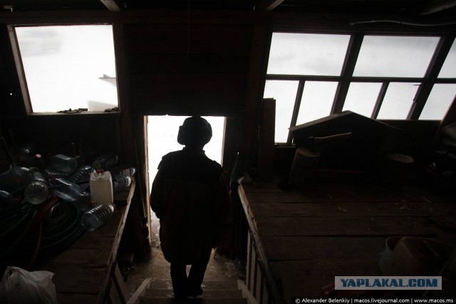 Русская деревня. Специальный репортаж