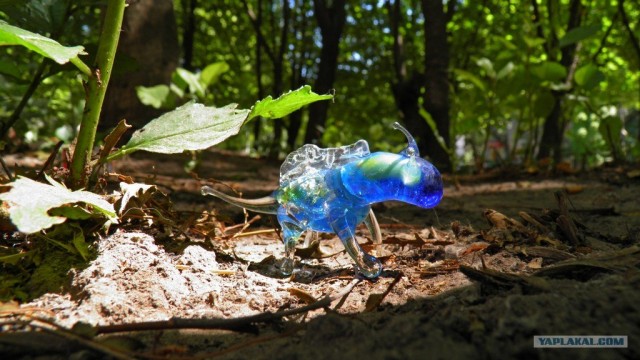 Мои стекляшечки.