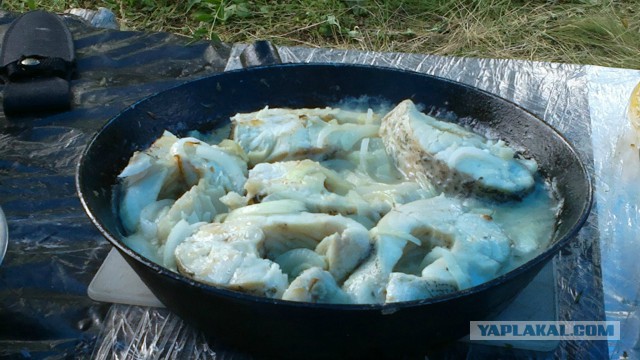 Это Россия, детка