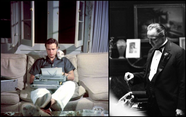 Деды и коты