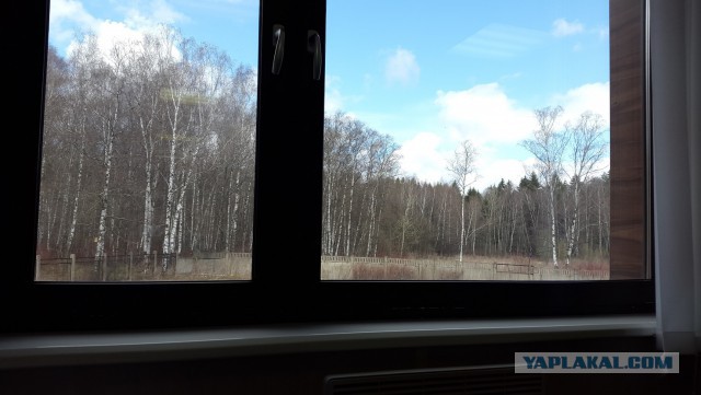 А что у вас за окном?