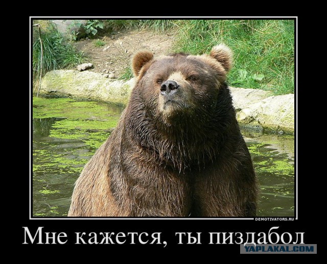 Простая физика - догадайся как это работает