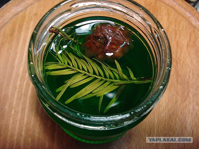 Кухня (кулинарное и околокулинарное общение)
