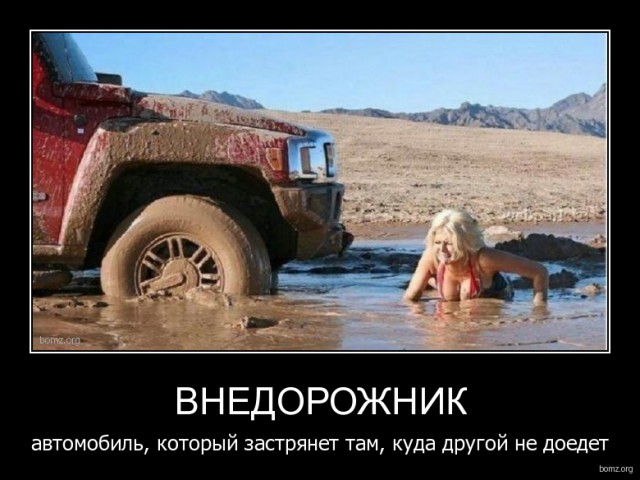 Подборка интересных и веселых картинок