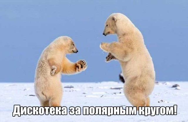 Подборка интересных и веселых картинок