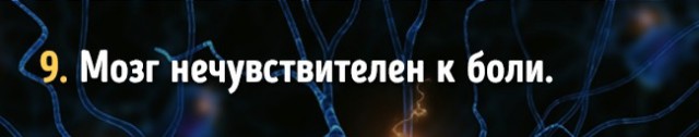 Факты о работе мозга, которые доказывают, что мы способны на все