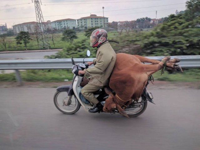 Подборка безудержного веселья