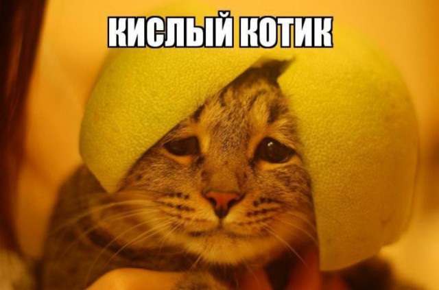 Картинок всяких