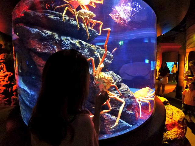 Полтора месяца безделья или "Первое семейное бюджетное путешествие"