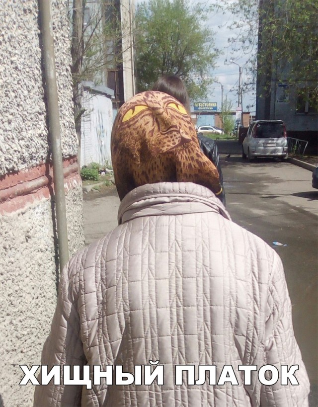 Подборка прикольных фоток