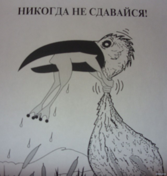 Цапля - живоглот