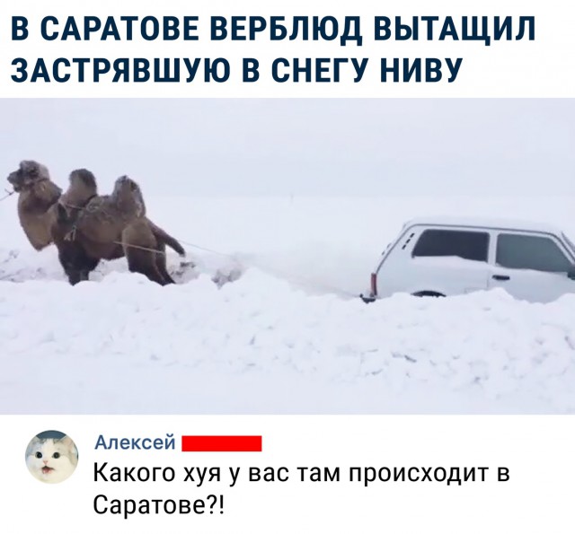 Немного картинок на вечер