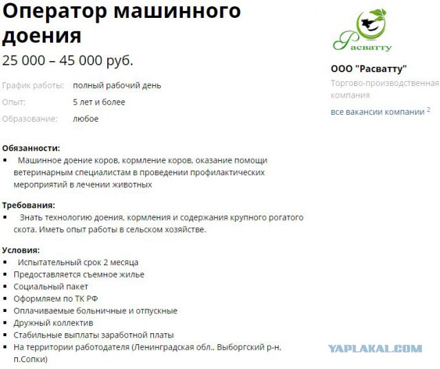 Девочка Таня из русской глубинки