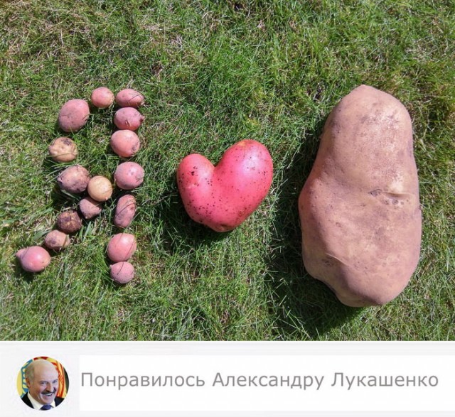 Картинки с надписями, истории и анекдоты 15.10.19