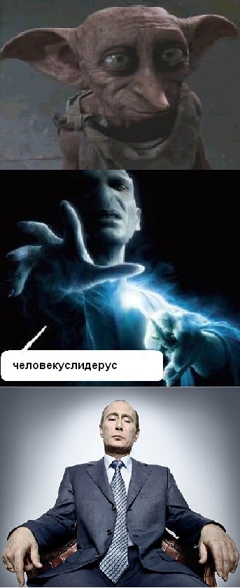 Ярость Волан-де-Морта